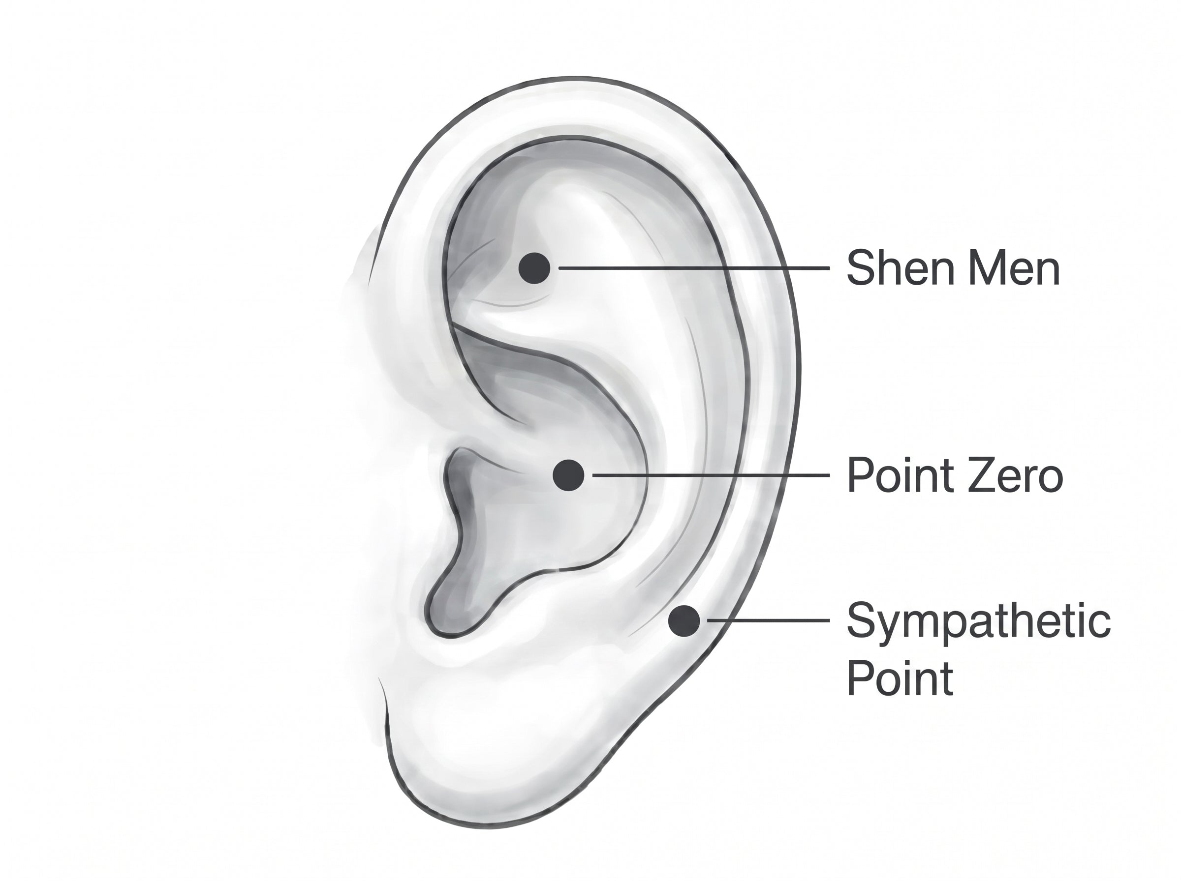 Placement Map • Nervous Stomach Relief
