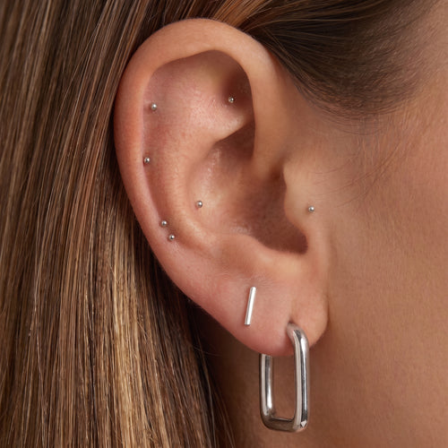 Silver Ear Seed Kit