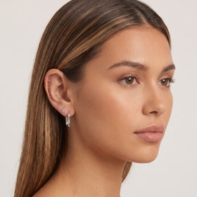 Silver Ear Seed Kit