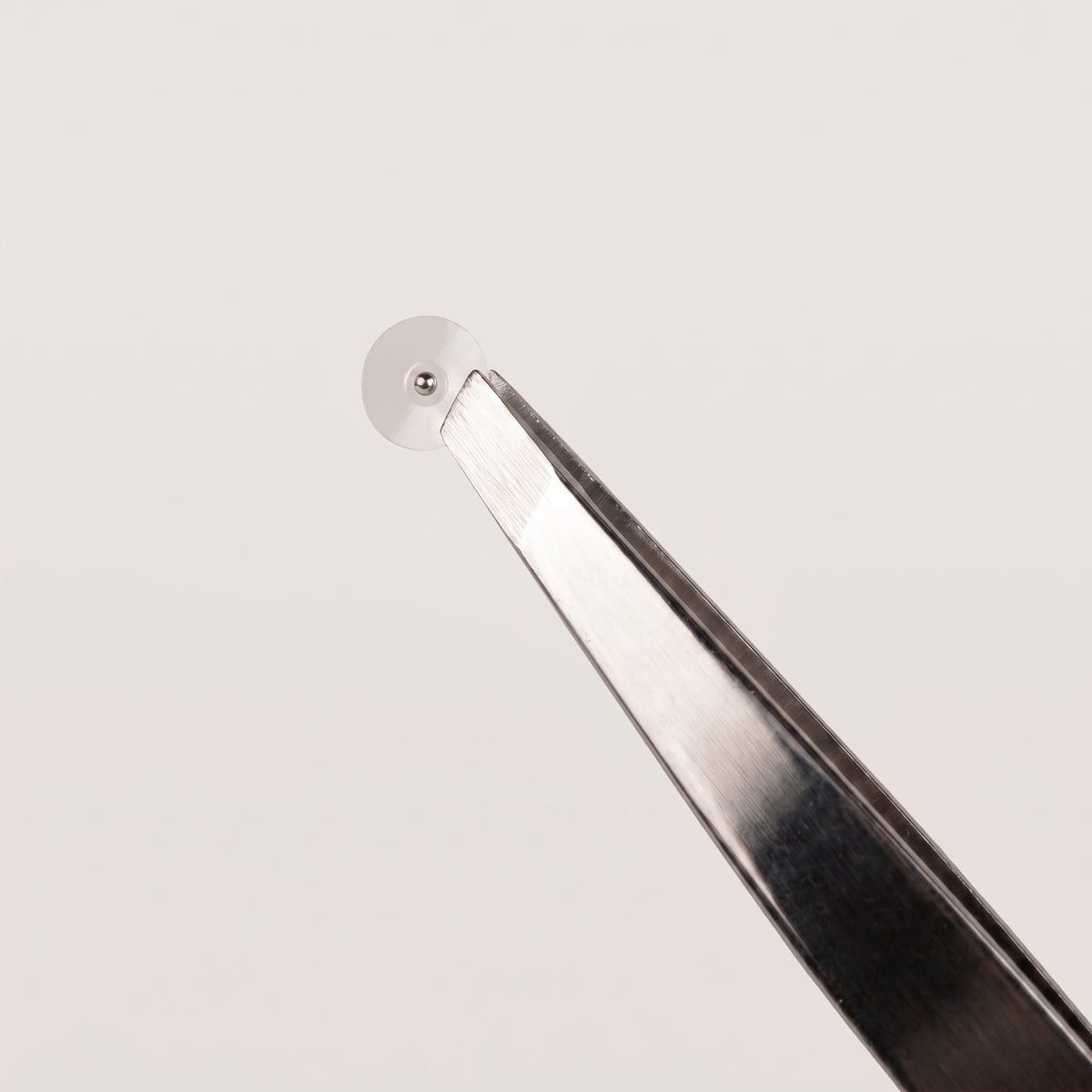 Silver Ear Seed Kit